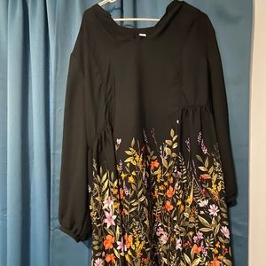 Long sleeved sheer dress